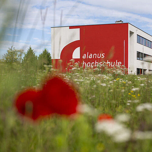 Stellenausschreibung: Professur für Städtebau und Freiraumentwicklung