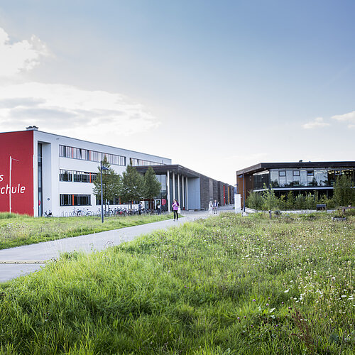 Titelbild Stellenanzeigen © Nola Bunke Stellenausschreibung: Videoredakteur:in / Content Creator (m/w/d)